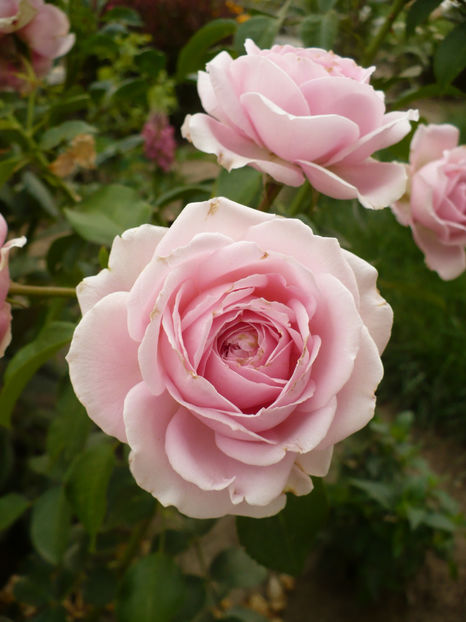 P1270105 - Wellenspiel