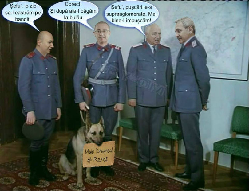  - Poze haioase pamflet