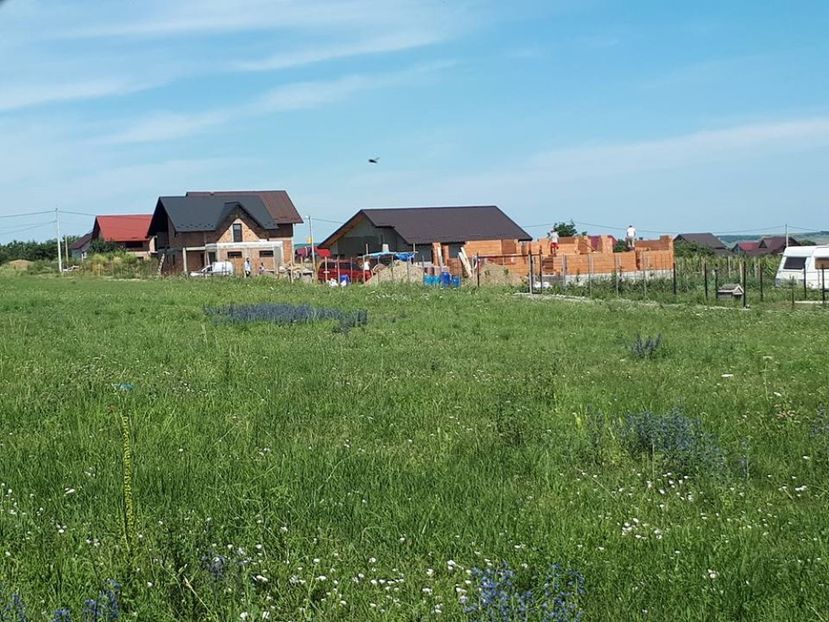 case2 - gradina minune