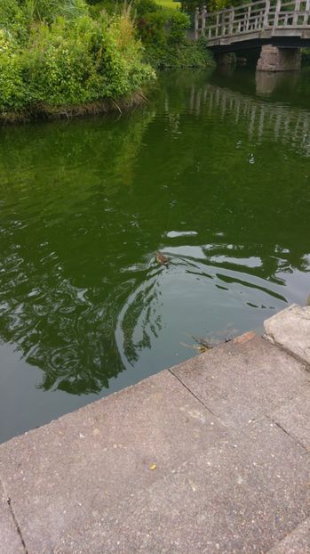  - PARK GREATER MALVERN