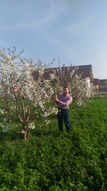 P_20170406_171033_1 - Livada 2017