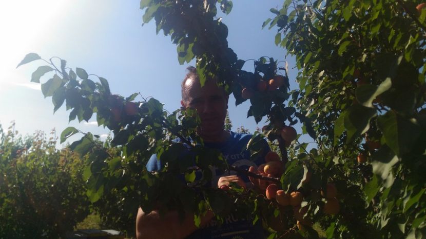 P_20170718_174215 - Livada 2017