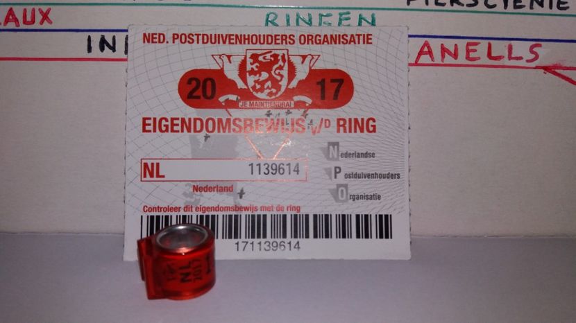  - Inele Olanda - 69 piese