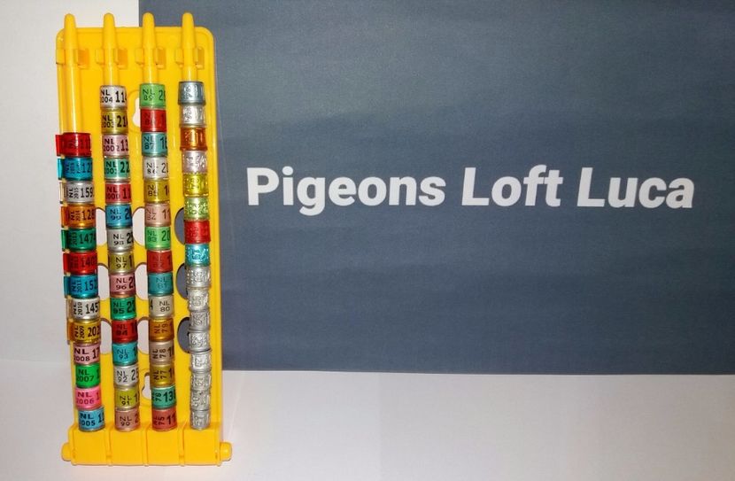  - Inele Olanda - 69 piese