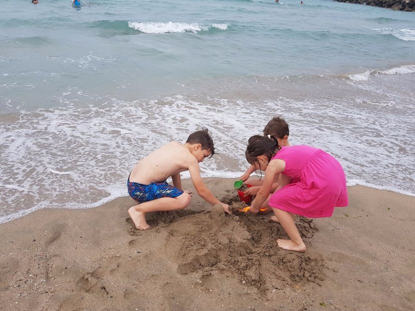  - 2017 VACANTA LA MARE 24IUL-11AUG