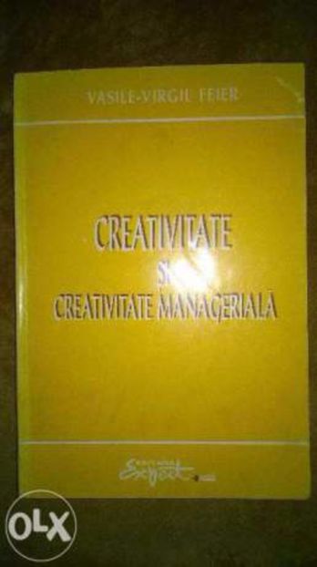 Creativitate Manageriala  (2) - CartiEc