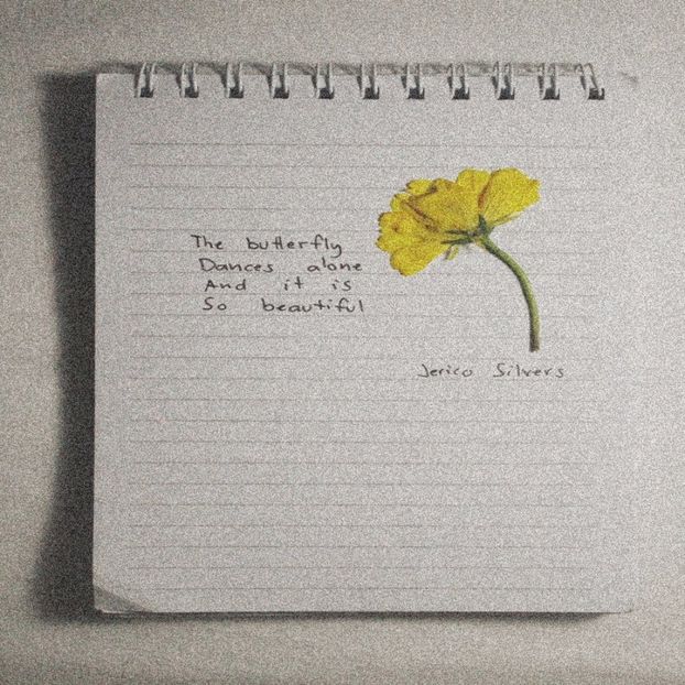 îmi place să scriu poezii, diferite povești imaginare și să creez scenarii - none of this feels real