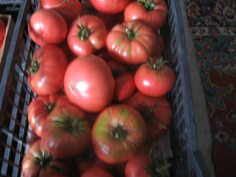  - imagini 30 IULIE 2017 record