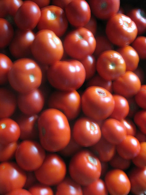  - imagini 30 IULIE 2017 record