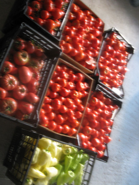  - imagini 30 IULIE 2017 record