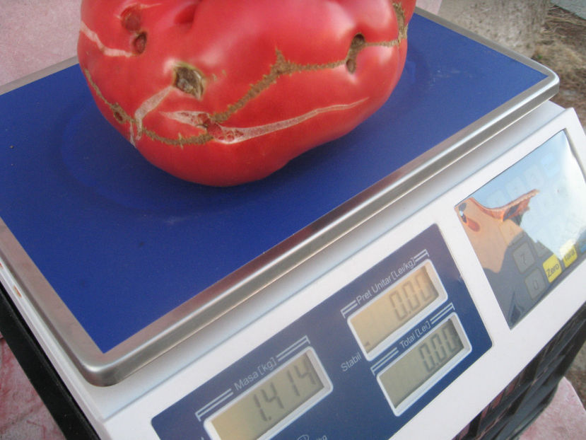  - imagini 30 IULIE 2017 record