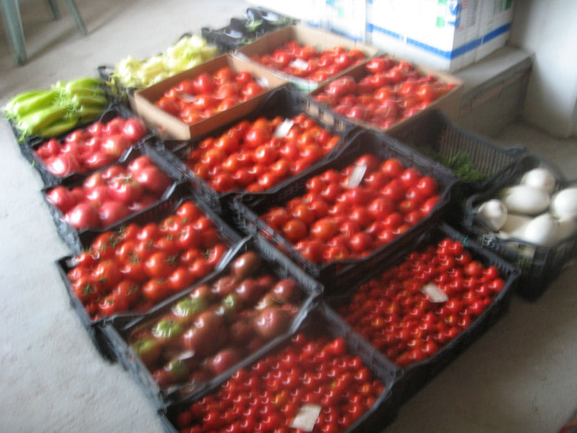  - imagini 30 IULIE 2017 record