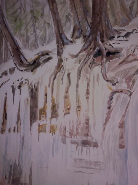  - Picturi in acuarela