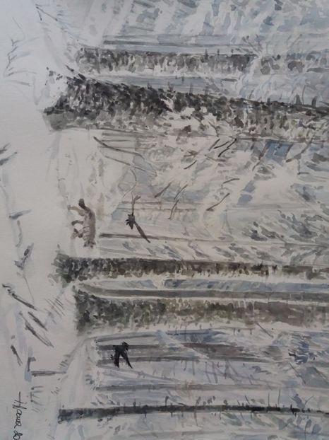  - Picturi in acuarela