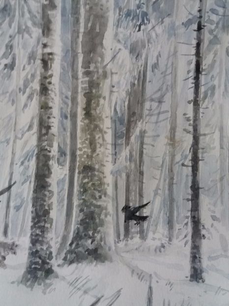  - Picturi in acuarela