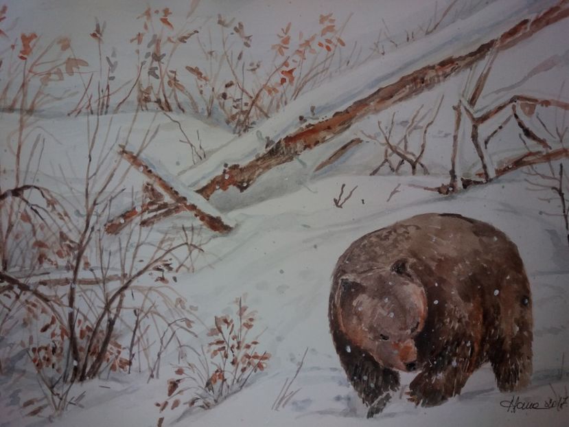  - Picturi in acuarela