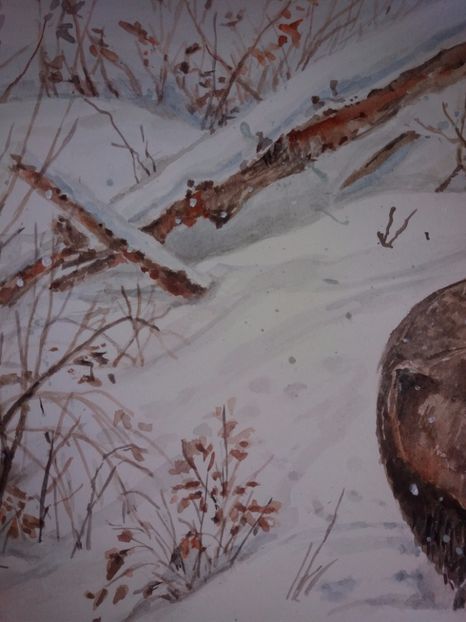  - Picturi in acuarela