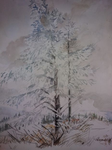  - Picturi in acuarela