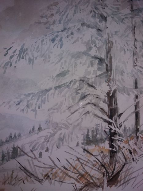  - Picturi in acuarela