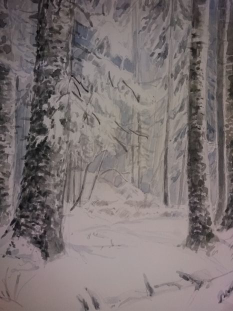  - Picturi in acuarela