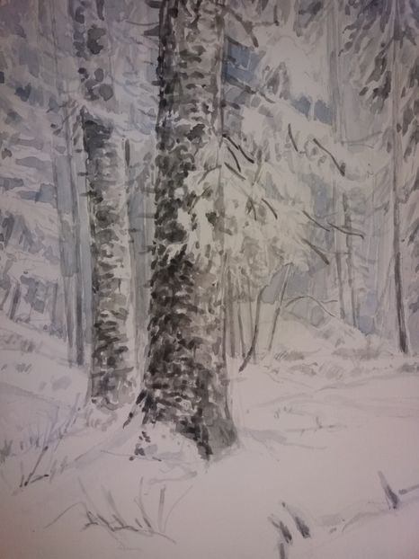  - Picturi in acuarela