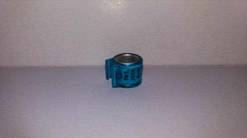  - Inele Olanda - 69 piese