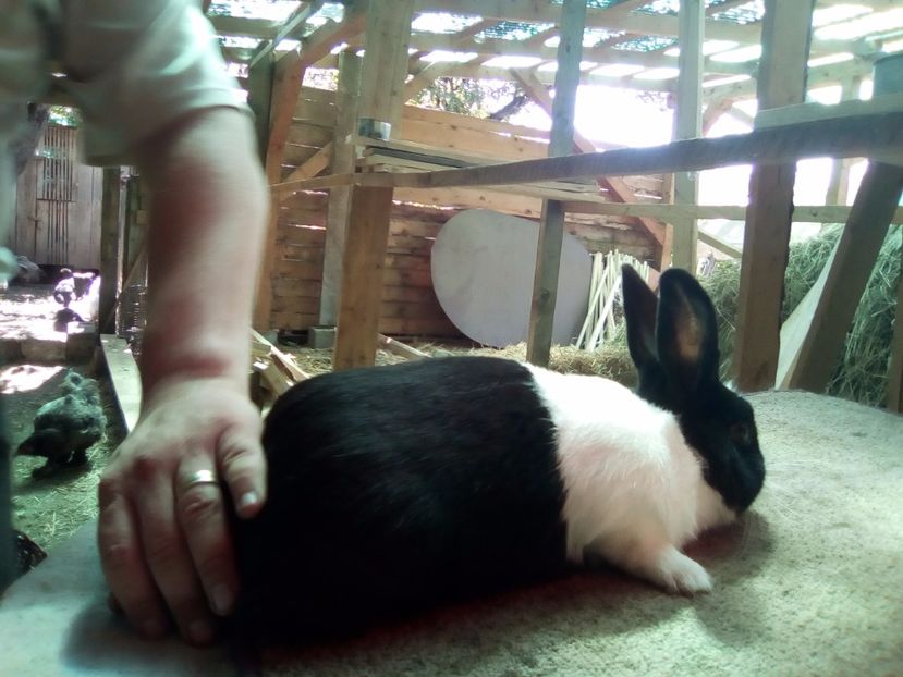  - 00-CONTACT 0746 126 026