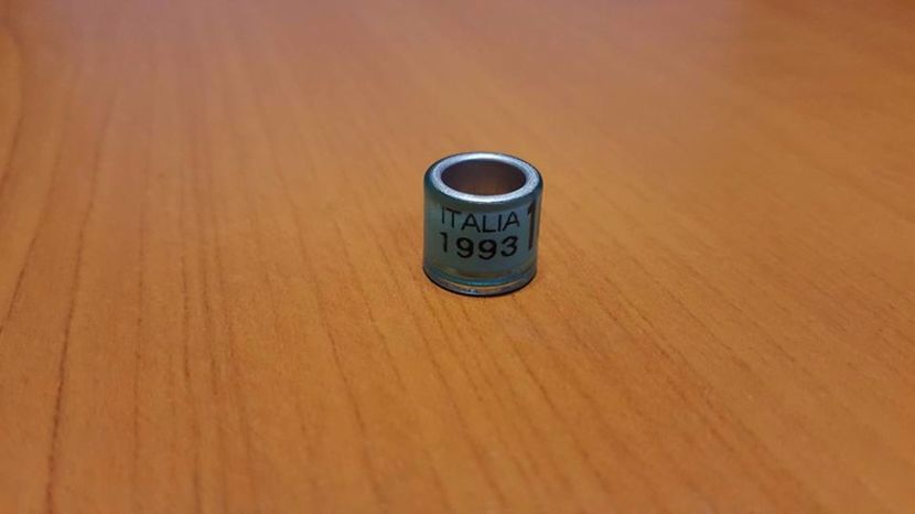  - Inele Italia - 33 piese