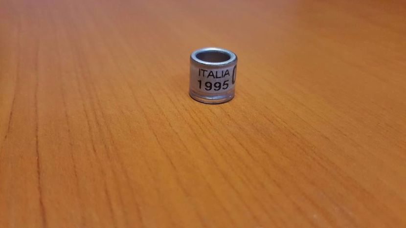  - Inele Italia - 33 piese