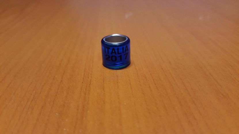 Inel neomologat - fake - Inele Italia - 33 piese