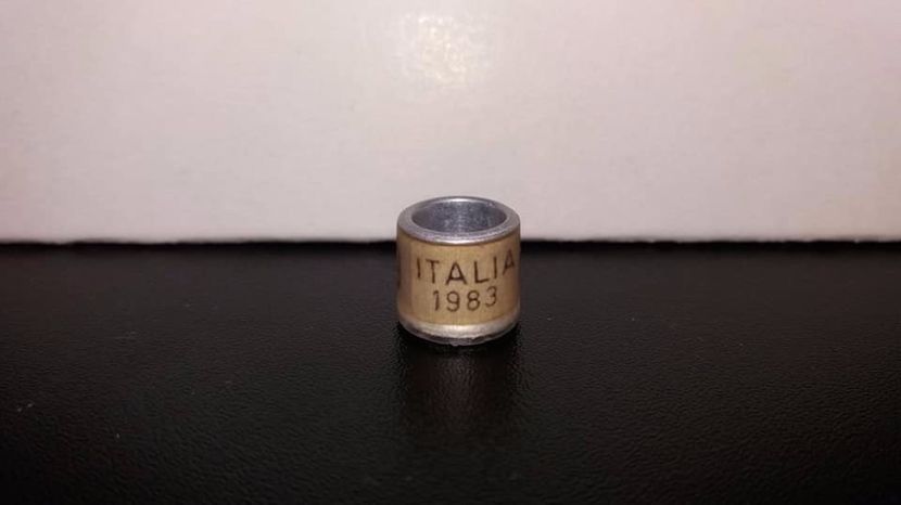  - Inele Italia - 33 piese