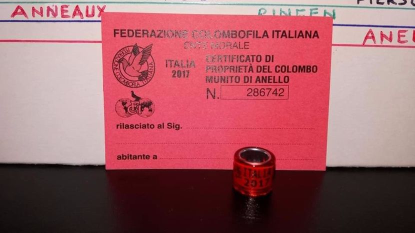  - Inele Italia - 33 piese