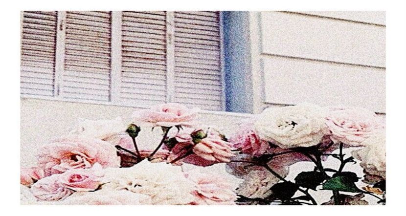 ●○ ρσѕтє∂ ση ₀₁. ₀₈. ₂₀₁₇. ❝ Ɗαу ₇₁ ❞ - Up all night - all night and every day