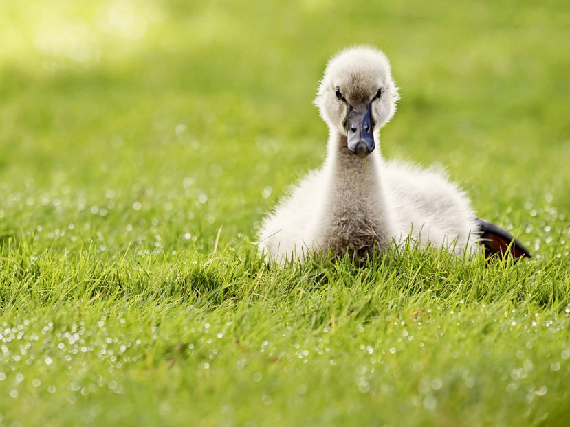  - Frumusetile De Langa Noi