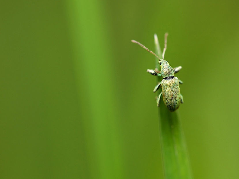  - Frumusetile De Langa Noi