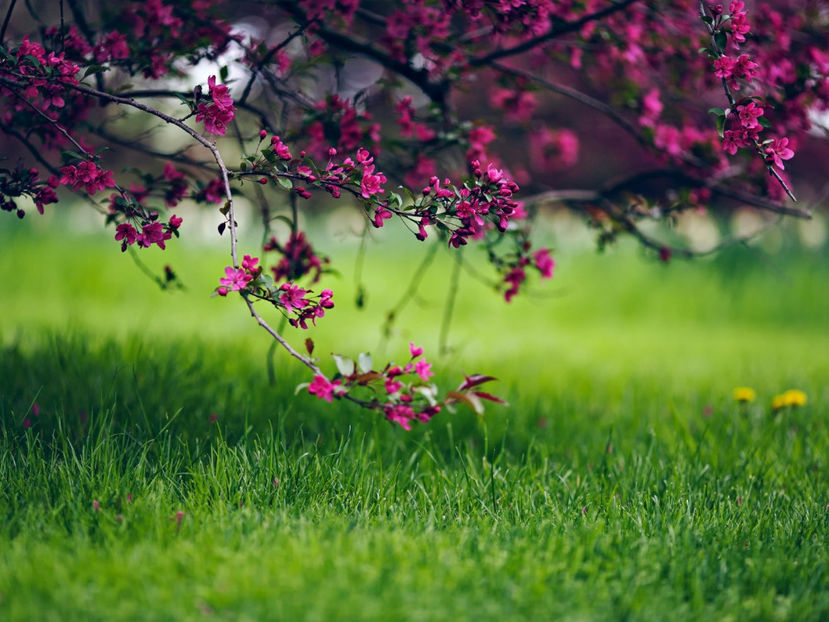  - Frumusetile De Langa Noi