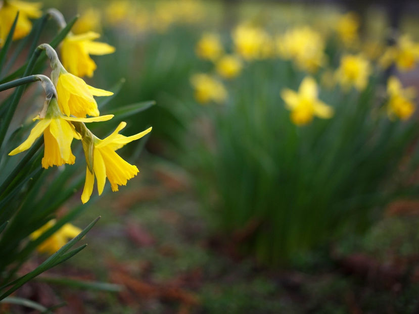  - Frumusetile De Langa Noi