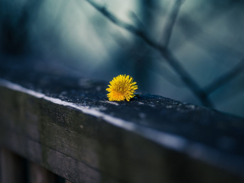  - Frumusetile De Langa Noi