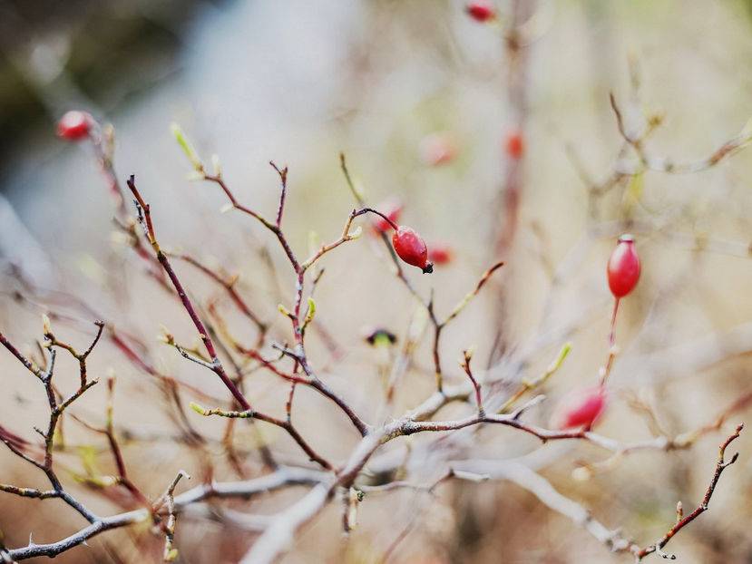  - Frumusetile De Langa Noi