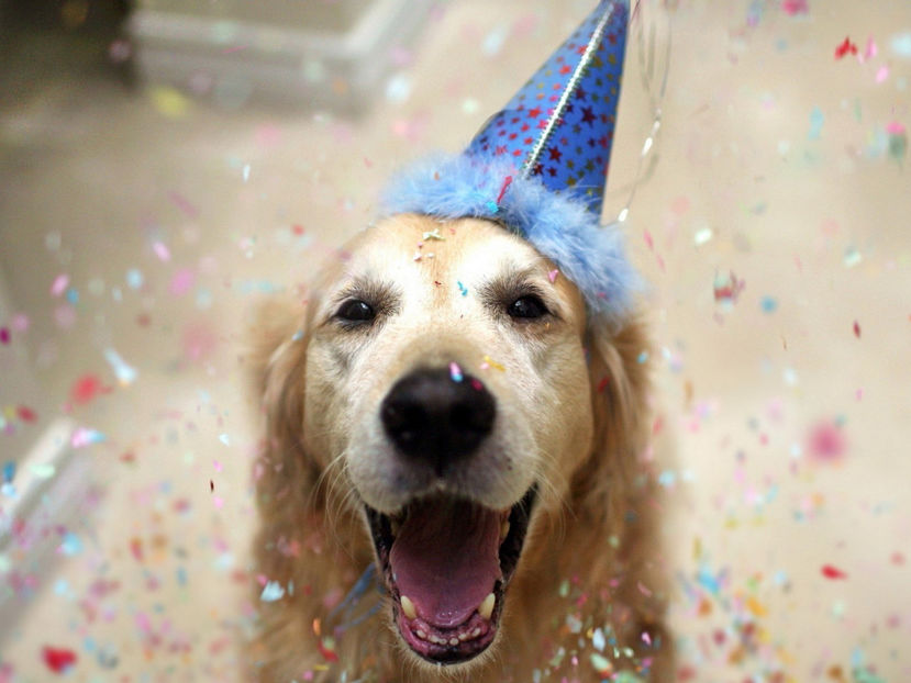  - Frumusetile De Langa Noi