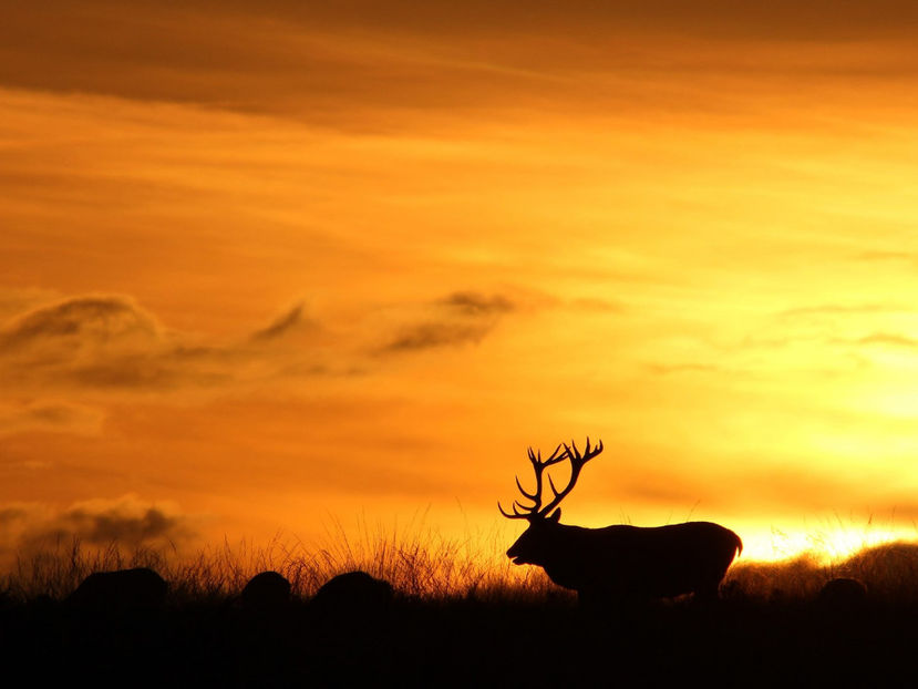  - Frumusetile De Langa Noi