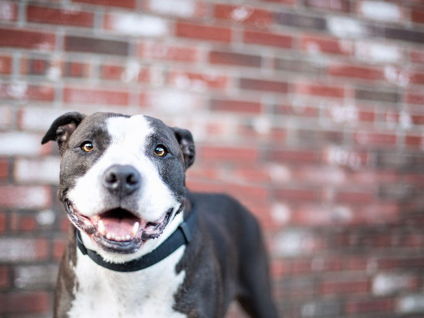  - Frumusetile De Langa Noi