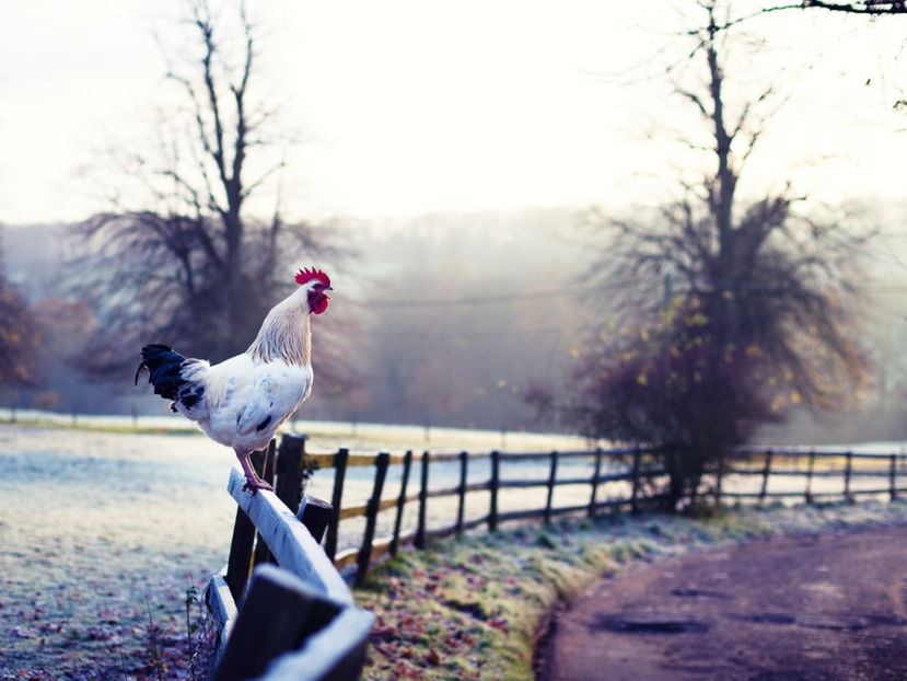  - Frumusetile De Langa Noi