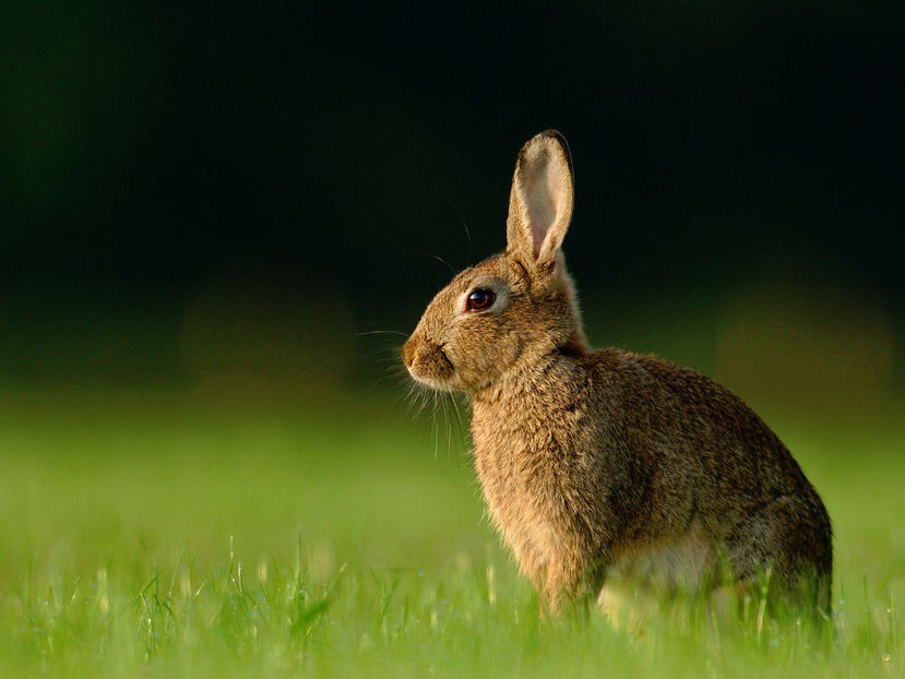  - Frumusetile De Langa Noi