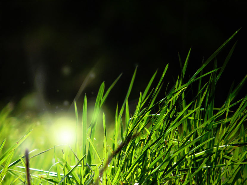  - Frumusetile De Langa Noi