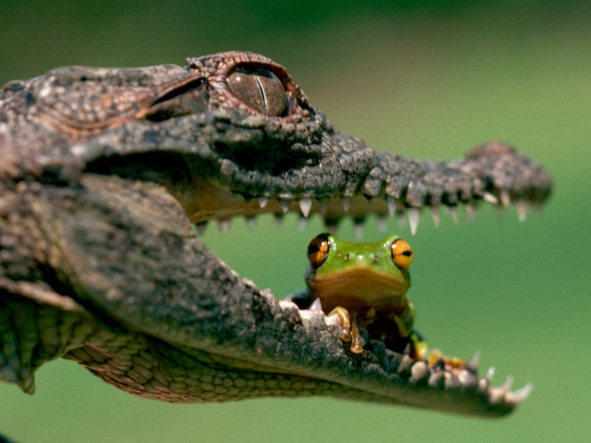  - Frumusetile De Langa Noi