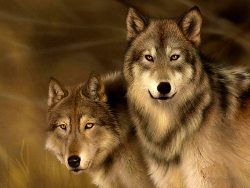  - Frumusetile De Langa Noi