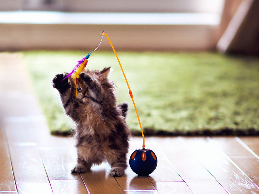  - Frumusetile De Langa Noi