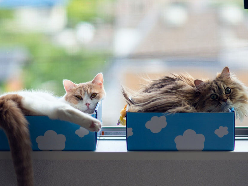  - Frumusetile De Langa Noi