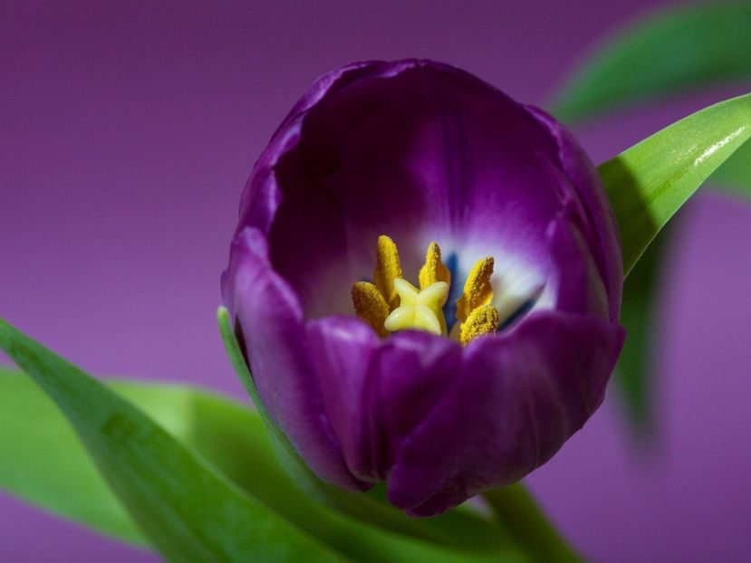  - Frumusetile De Langa Noi